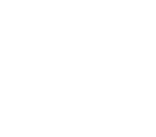 Black Flag project logo