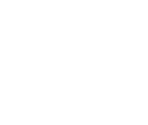 Maxingo project logo