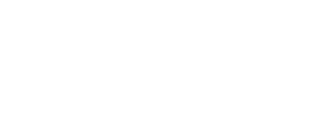 Pendulum project logo