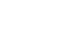 Sinder Skullz project logo